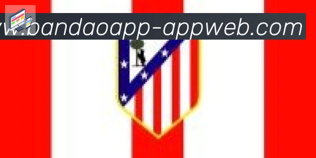 半岛体育app合作伙伴